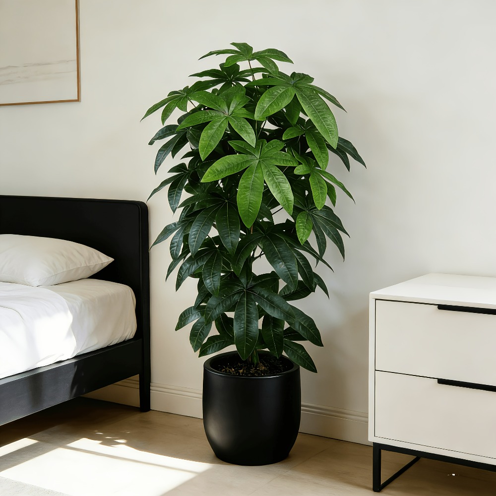 An Artificial Money Tree Pachi - огляд і ціна Ficus Lyrata Tree